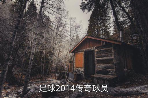 實況足球2014傳奇球員