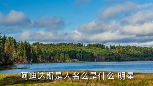 阿迪達(dá)斯的足球明星,穿阿迪達(dá)斯的足球明星