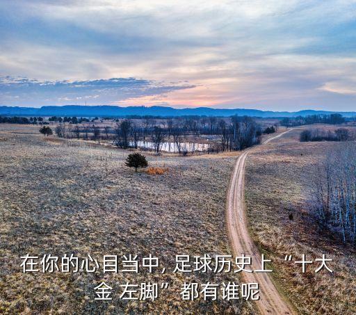 在你的心目當(dāng)中, 足球歷史上“十大金 左腳”都有誰呢