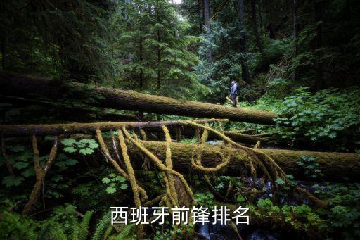 足球俱樂(lè)部射手排行榜,2022足球俱樂(lè)部實(shí)力排行榜