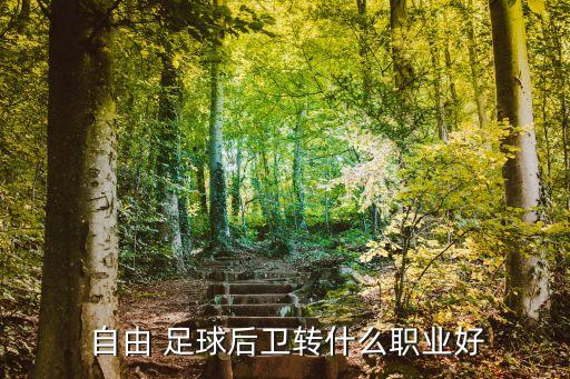  自由 足球后衛(wèi)轉(zhuǎn)什么職業(yè)好