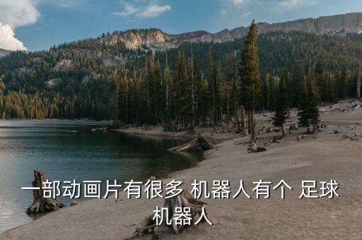 出足球機(jī)器人,小學(xué)生足球機(jī)器人比賽