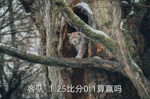 客隊  1.25比分0:1算贏嗎