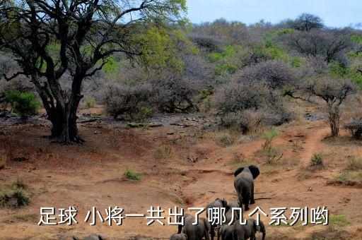  足球 小將一共出了哪幾個系列喲