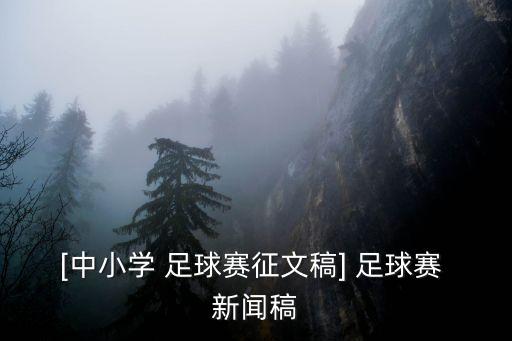 [中小學(xué) 足球賽征文稿] 足球賽 新聞稿
