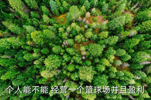 個(gè)人能不能 經(jīng)營一個(gè)籃球場并且盈利