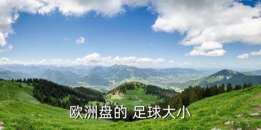 歐洲盤的 足球大小