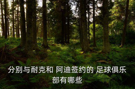 分別與耐克和 阿迪簽約的 足球俱樂部有哪些
