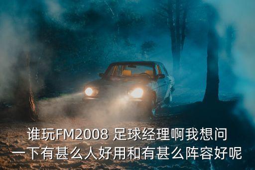 誰玩FM2008 足球經(jīng)理啊我想問一下有甚么人好用和有甚么陣容好呢