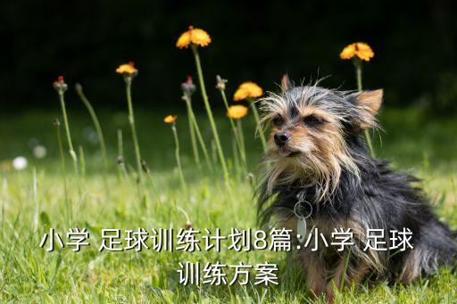 小學(xué) 足球訓(xùn)練計(jì)劃8篇:小學(xué) 足球訓(xùn)練方案