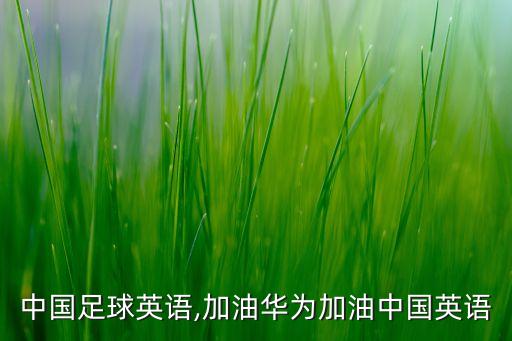 加油中國(guó)足球英語(yǔ),加油華為加油中國(guó)英語(yǔ)