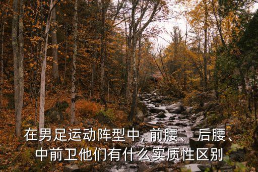 在男足運(yùn)動陣型中, 前腰、 后腰、中前衛(wèi)他們有什么實(shí)質(zhì)性區(qū)別