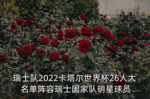瑞士隊2022卡塔爾世界杯26人大 名單陣容瑞士國家隊明星球員