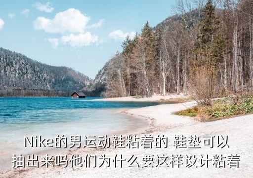 Nike的男運動鞋粘著的 鞋墊可以抽出來嗎他們?yōu)槭裁匆@樣設(shè)計粘著
