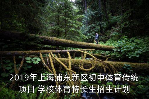 2019年上海浦東新區(qū)初中體育傳統(tǒng)項目 學校體育特長生招生計劃