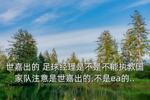 世嘉出的 足球經(jīng)理是不是不能執(zhí)教國家隊(duì)注意是世嘉出的,不是ea的...