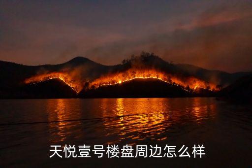  天悅壹號樓盤周邊怎么樣