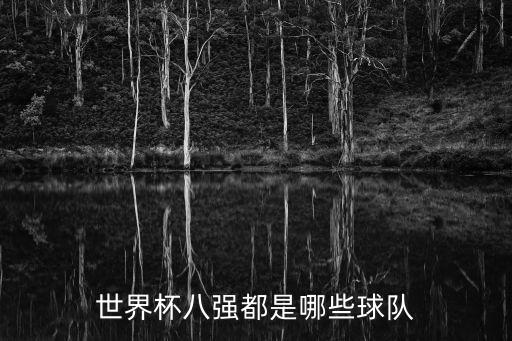 世界杯八強(qiáng)都是哪些球隊(duì)