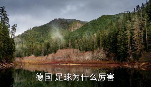 德國(guó) 足球?yàn)槭裁磪柡? class=