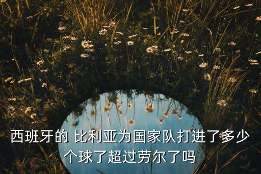 西班牙的 比利亞為國家隊打進了多少個球了超過勞爾了嗎