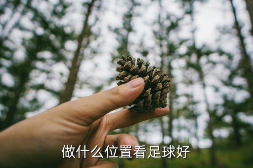 足球場(chǎng)哪個(gè)座位最好,成都鳳凰山專業(yè)足球場(chǎng)座位