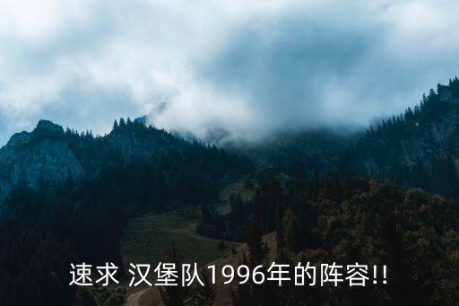 速求 漢堡隊1996年的陣容!!
