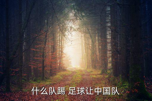 老撾對(duì)印尼足球,中國(guó)老撾足球7:2