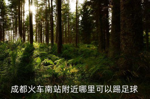 迪卡儂足球場