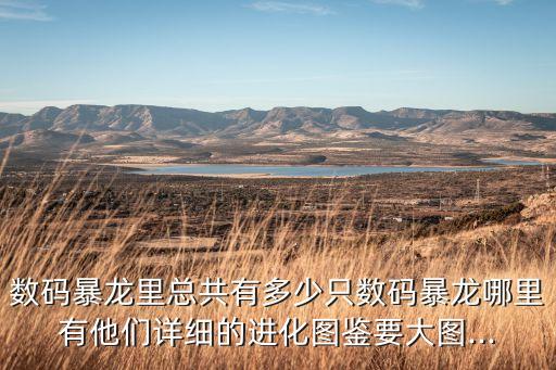 數碼暴龍里總共有多少只數碼暴龍哪里有他們詳細的進化圖鑒要大圖...