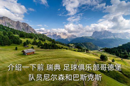 介紹一下前 瑞典 足球俱樂部哥德堡隊員尼爾森和巴斯克斯