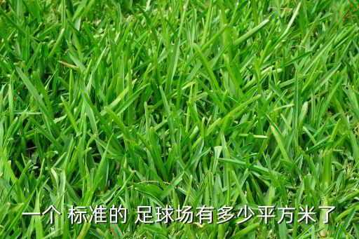 一個 標準的 足球場有多少平方米了