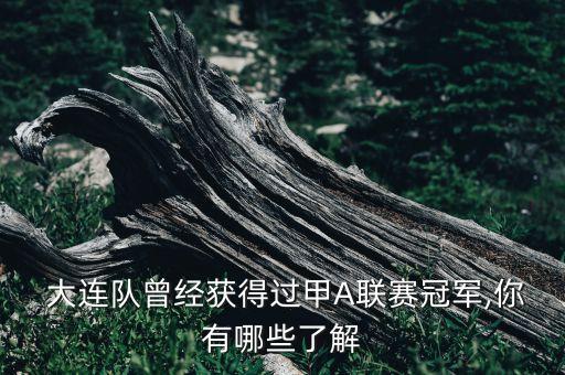  大連隊曾經(jīng)獲得過甲A聯(lián)賽冠軍,你有哪些了解