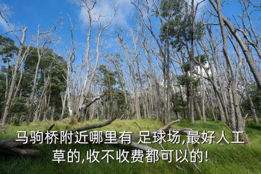 馬駒橋附近哪里有 足球場,最好人工草的,收不收費都可以的!