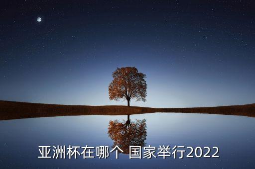  亞洲杯在哪個 國家舉行2022