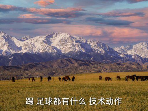 足球常用運(yùn)球技術(shù),足球運(yùn)球技術(shù)分為哪三種