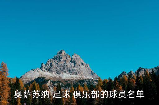 奧薩蘇納 足球 俱樂(lè)部的球員名單