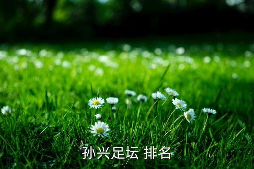 德國(guó)足球青訓(xùn)俱樂(lè)部排名,去德國(guó)足球青訓(xùn)一年費(fèi)用