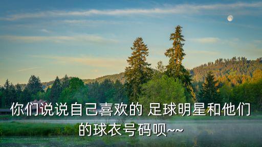 你們說(shuō)說(shuō)自己喜歡的 足球明星和他們的球衣號(hào)碼唄~~