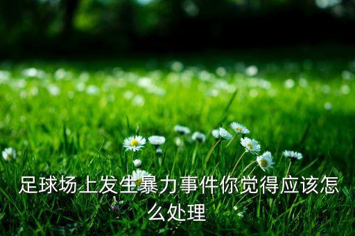 足球場(chǎng)上侮辱對(duì)方