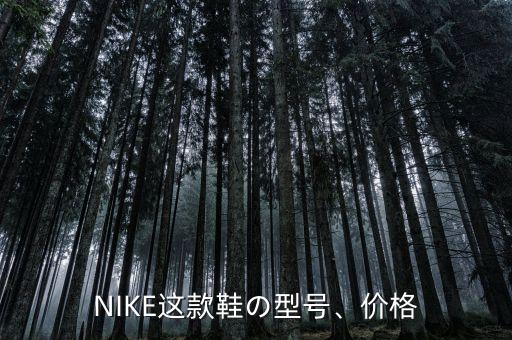NIKE這款鞋の型號(hào)、價(jià)格