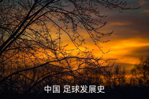 中國(guó) 足球發(fā)展史