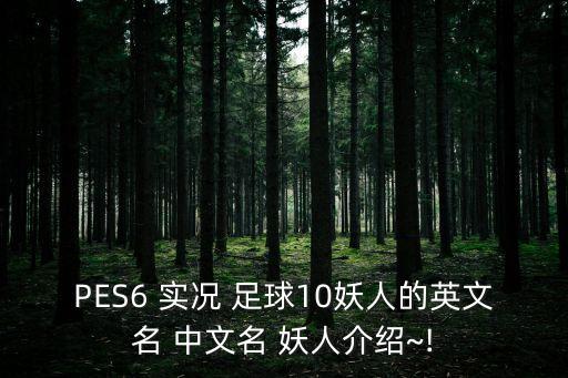 PES6 實況 足球10妖人的英文名 中文名 妖人介紹~!