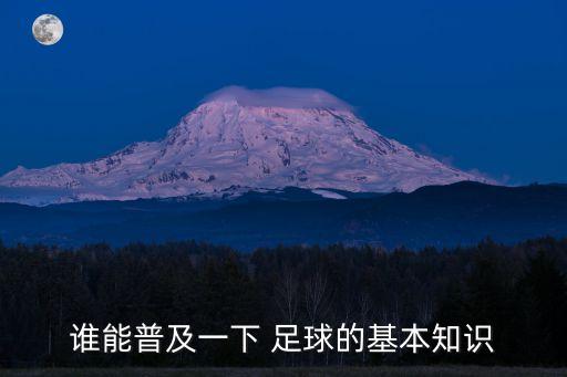 誰能普及一下 足球的基本知識