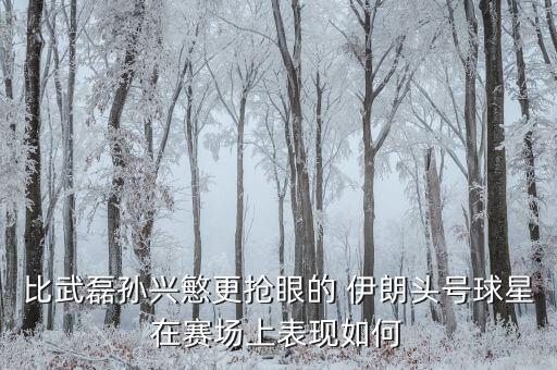 足球最臟的球員伊朗