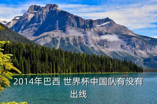2014年世界杯中國足球,中國足球進過世界杯嗎