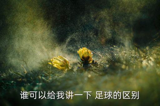 誰可以給我講一下 足球的區(qū)別