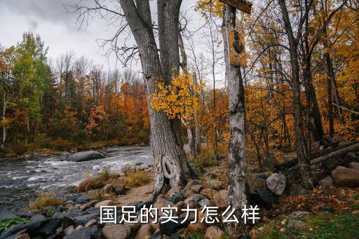 國足的實力怎么樣