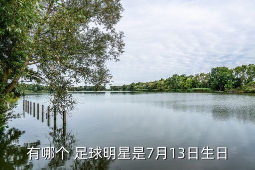 有哪個 足球明星是7月13日生日