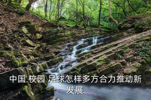 中國(guó) 校園 足球怎樣多方合力推動(dòng)新發(fā)展