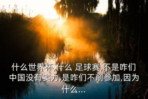 什么世界杯,什么 足球賽,不是咋們中國沒有實力,是咋們不削參加,因為什么...